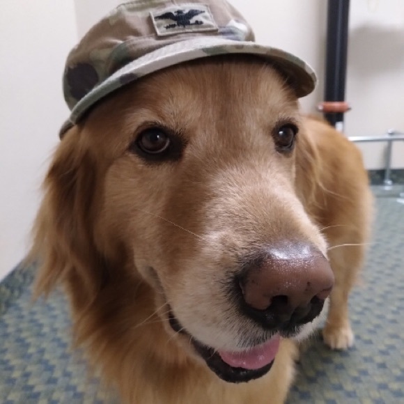 Meet your Posher, Debbie - Picture 3 of 8